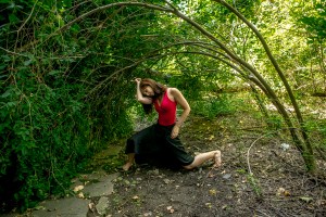 Christopher Di Nunzio