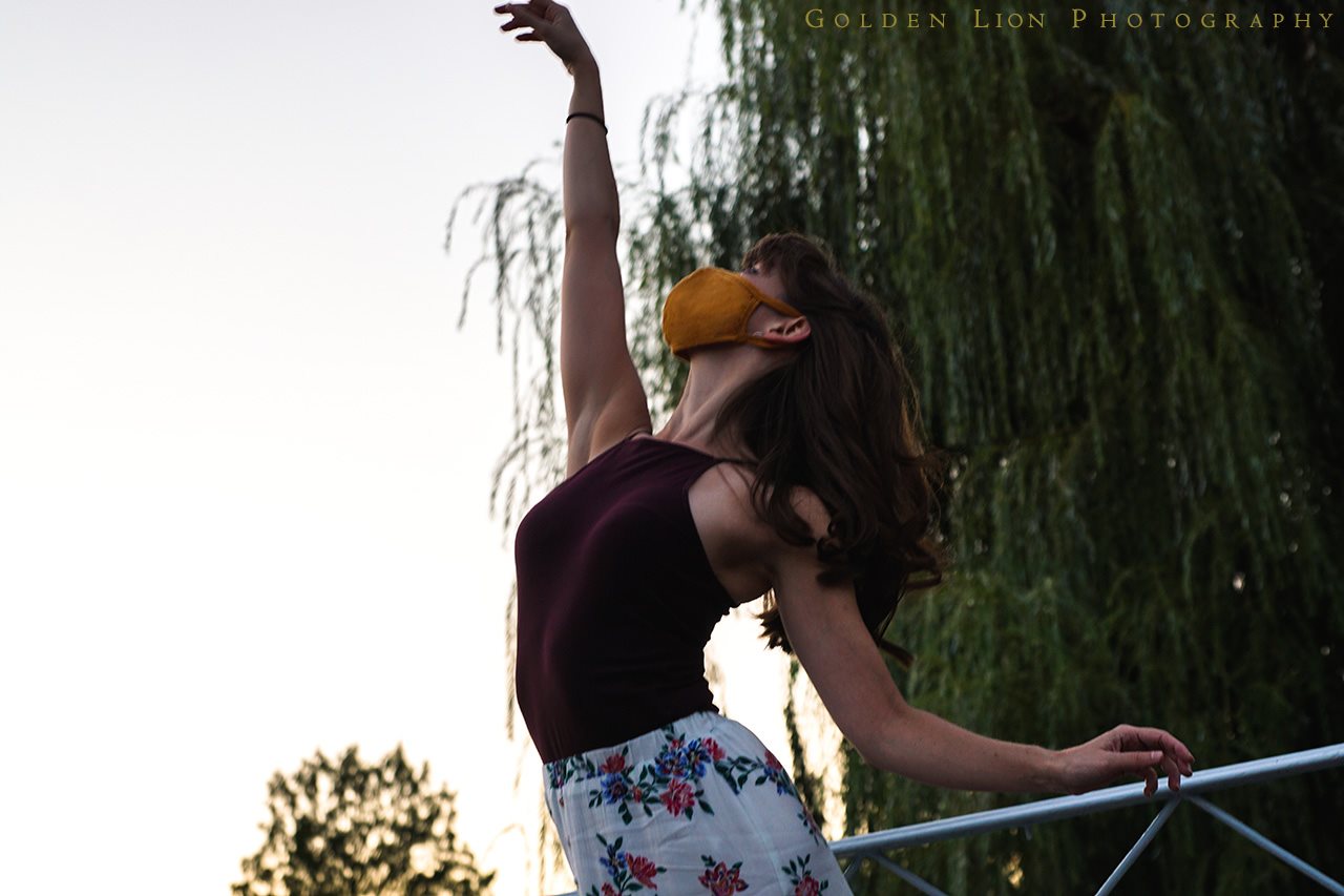 Golden Lion Photography