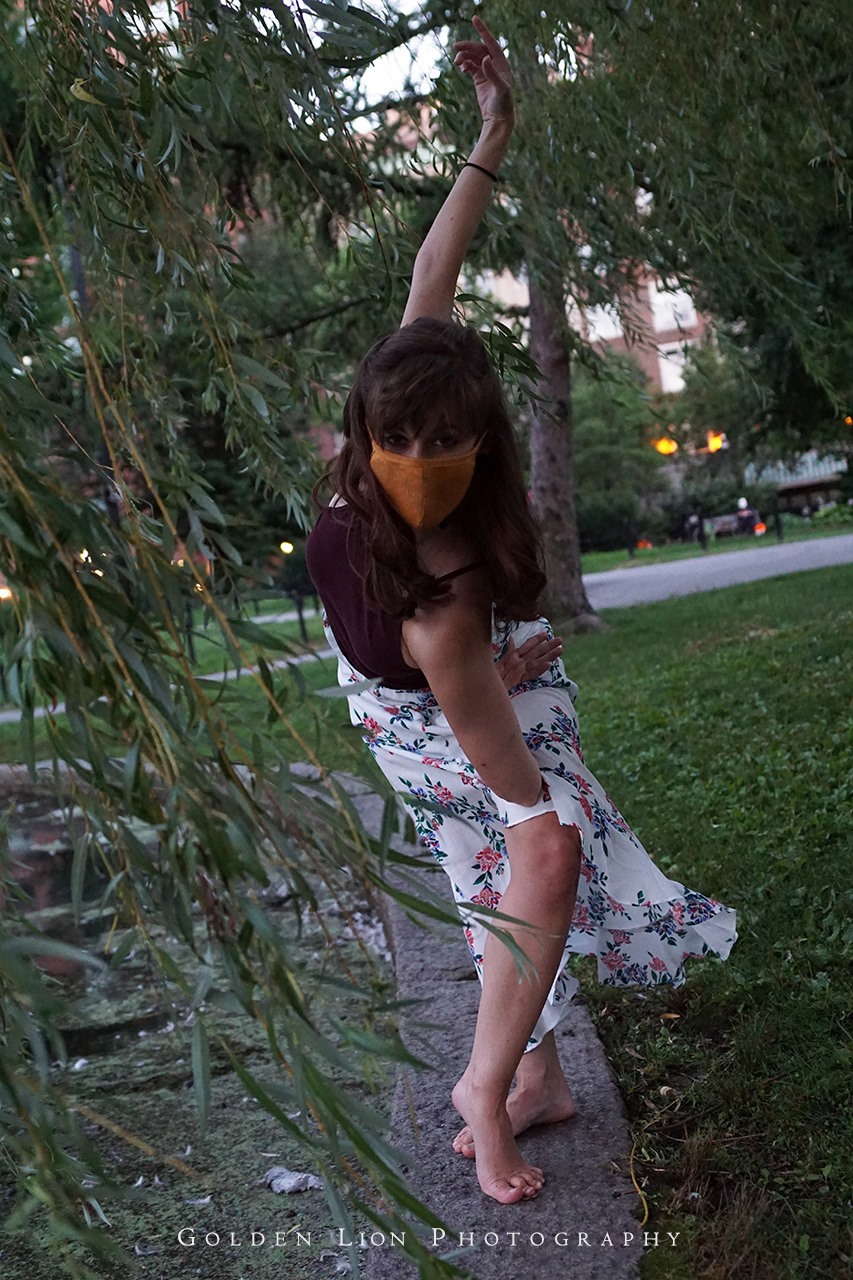 Golden Lion Photography