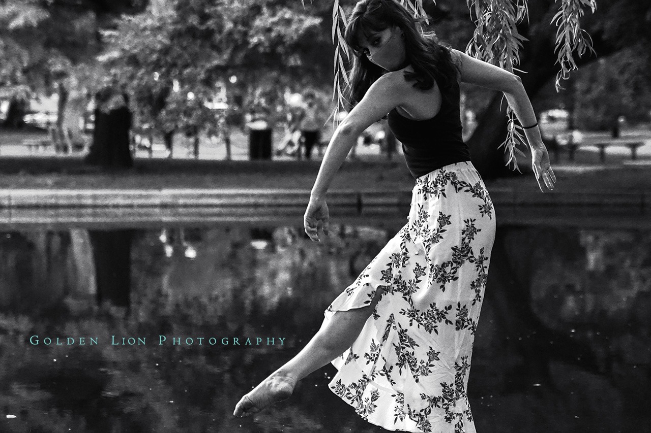 Golden Lion Photography